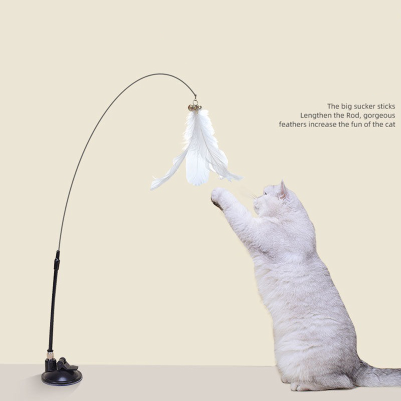 Pet Supplies Amazon - New powerful suction cat-teasing stick with