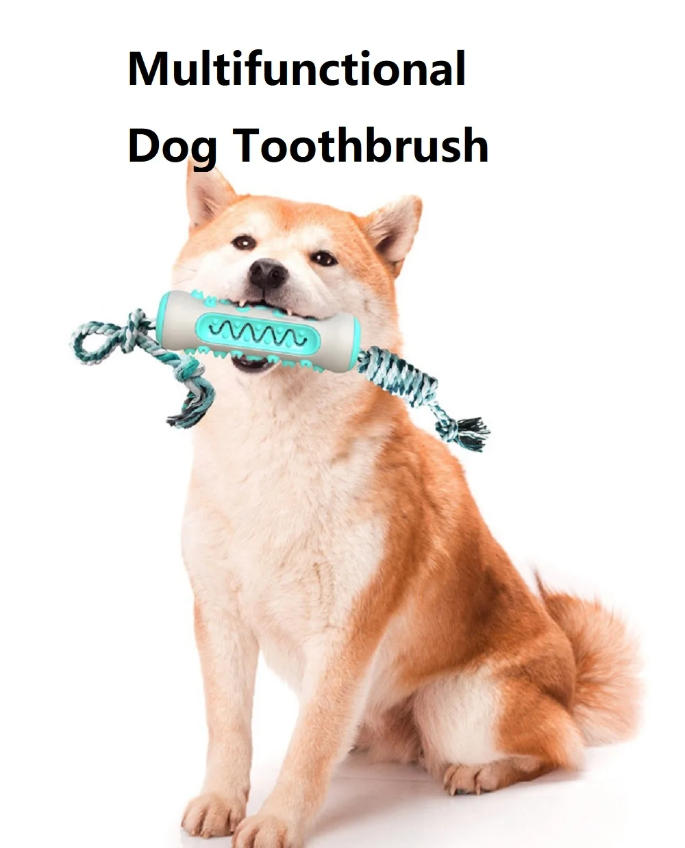 Pet Supplies Amazon - Pet Supplies Amazon Pop Dog Toys