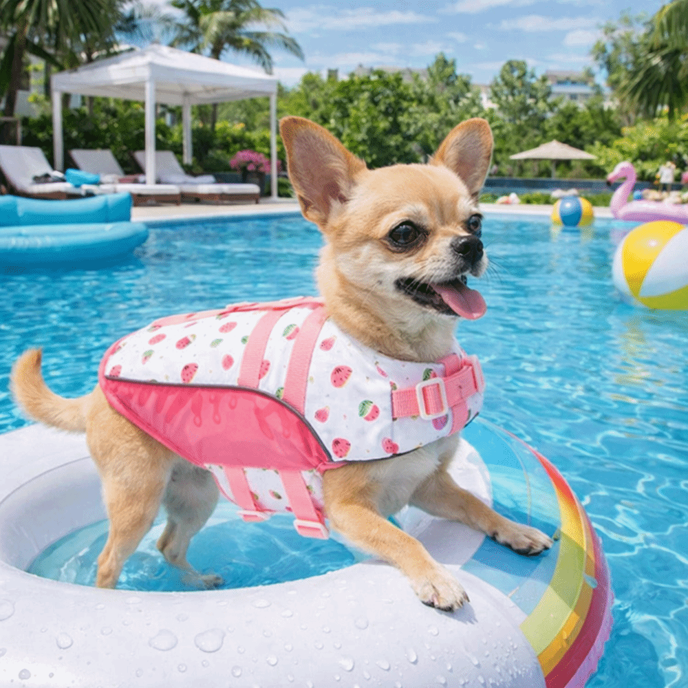 Dog Life Jacket - Adjustable Dog Life Jacket High Buoyancy