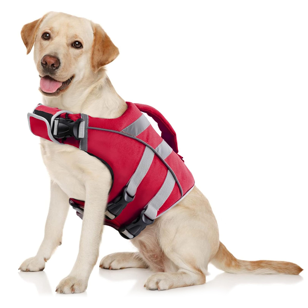 Ensure Your Dog's Water Advent - огляд і ціна Dog Life Jacket
