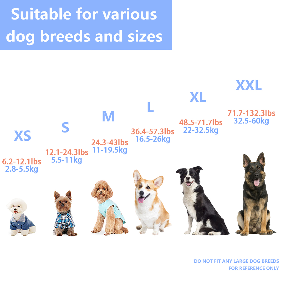 Ensure Your Dog's Water Advent - огляд і ціна Dog Life Jacket