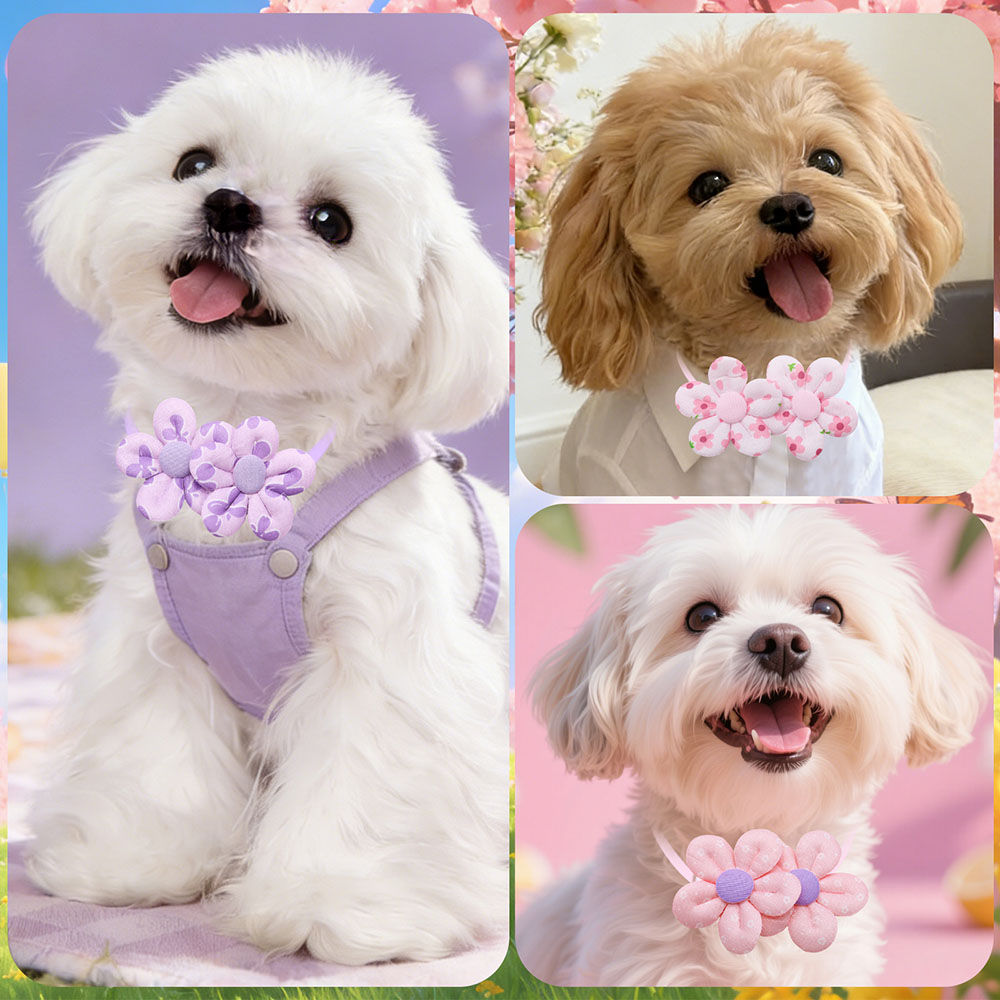 10PCS Flower Shape Sweet Dog B - огляд і ціна Pet Supplies Co