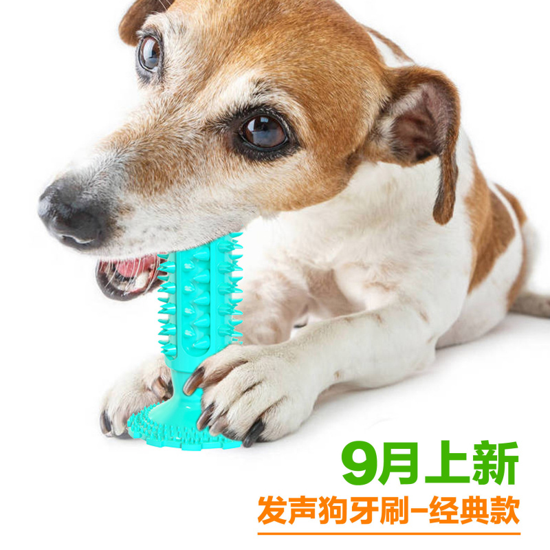 Dog toy with suction cup, soun - огляд і ціна Pet Supplies Amazon