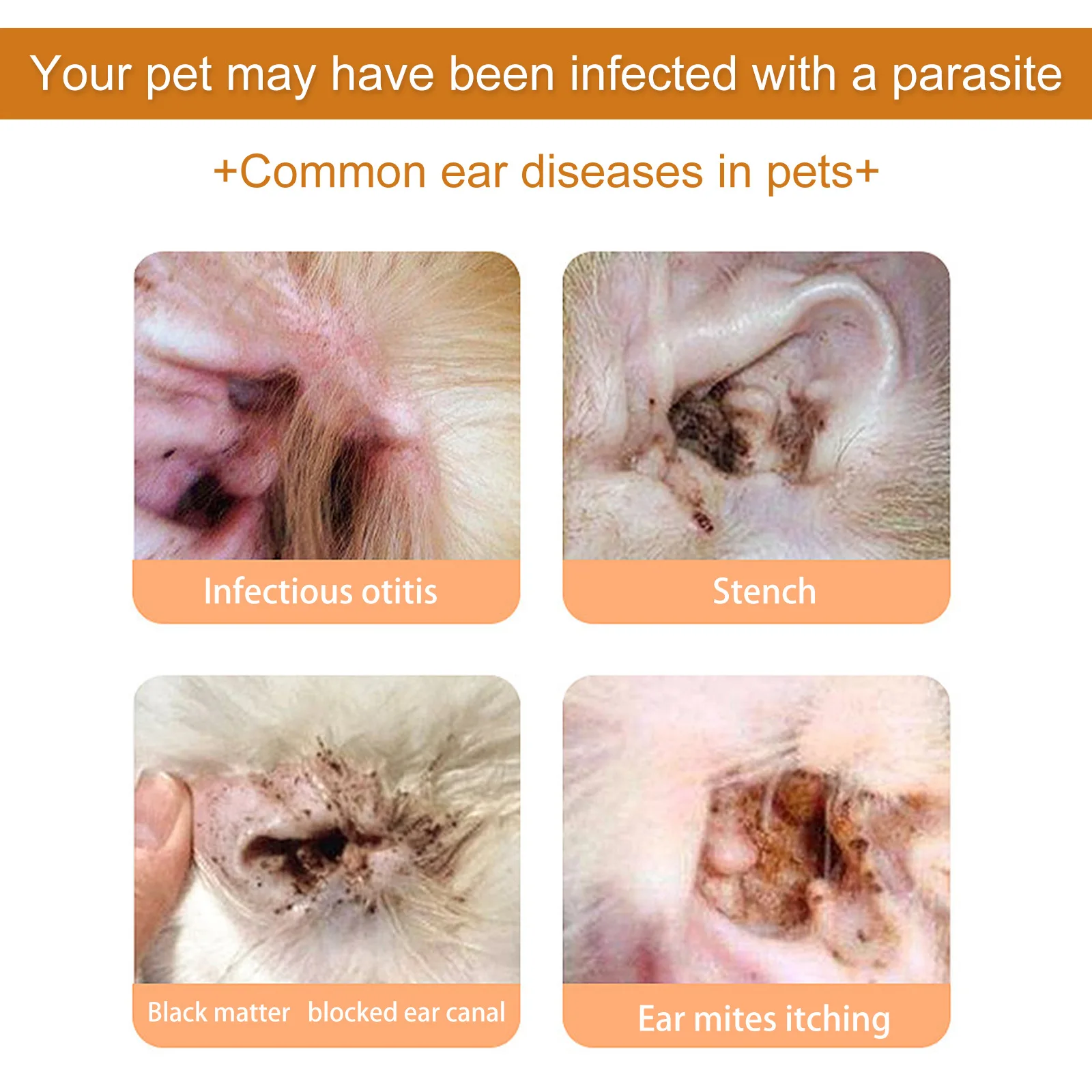 Pets Ear Cleaner Drops Prevent - огляд і ціна Pet Ear Cleaner