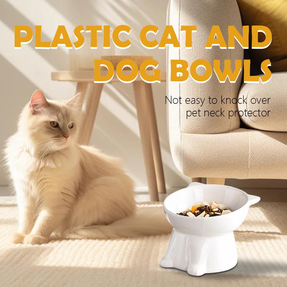 Black Cat Bowl Amazon Plastic  - огляд і ціна Pet Supplies Amazon