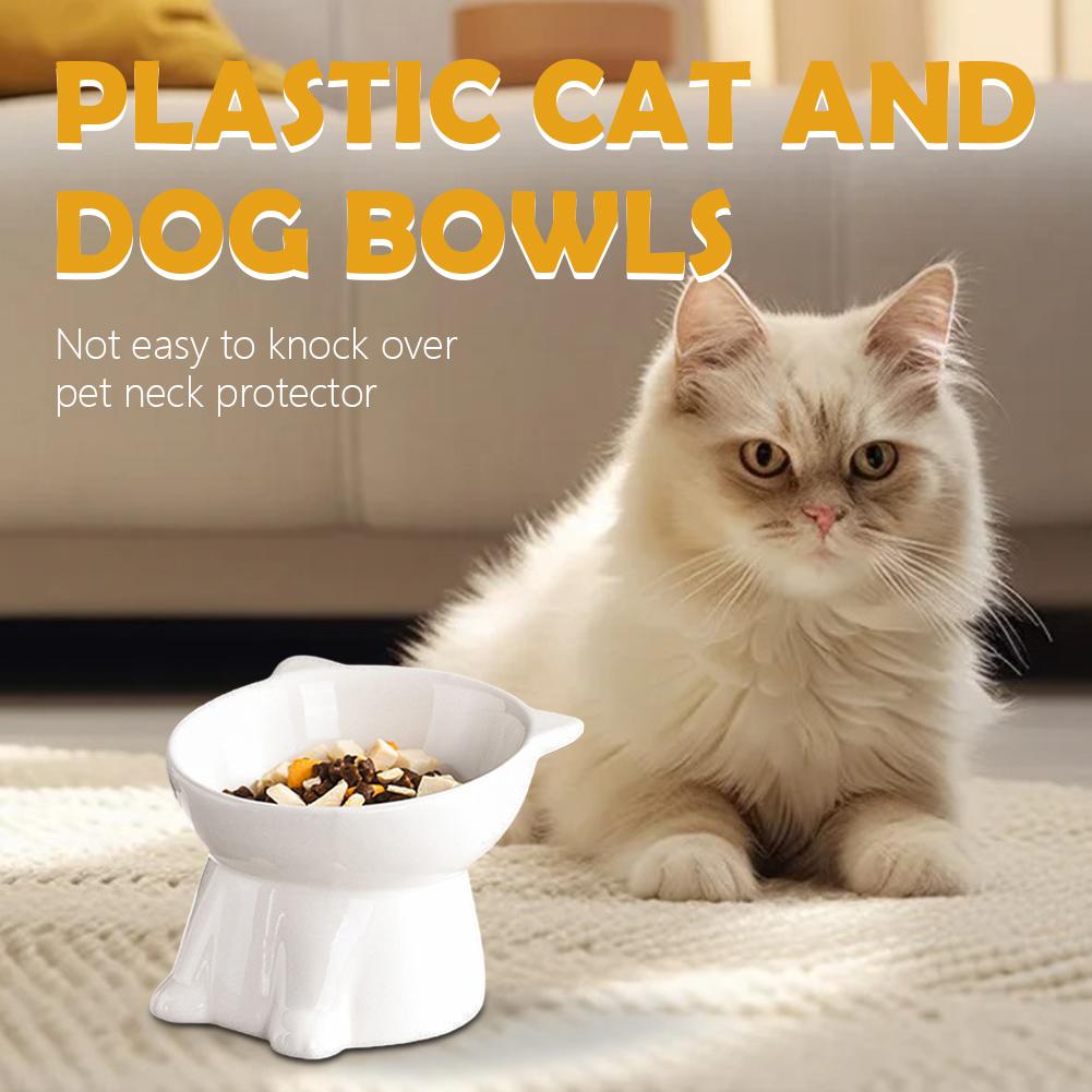 Black Cat Bowl Amazon Plastic  - огляд і ціна Pet Supplies Amazon
