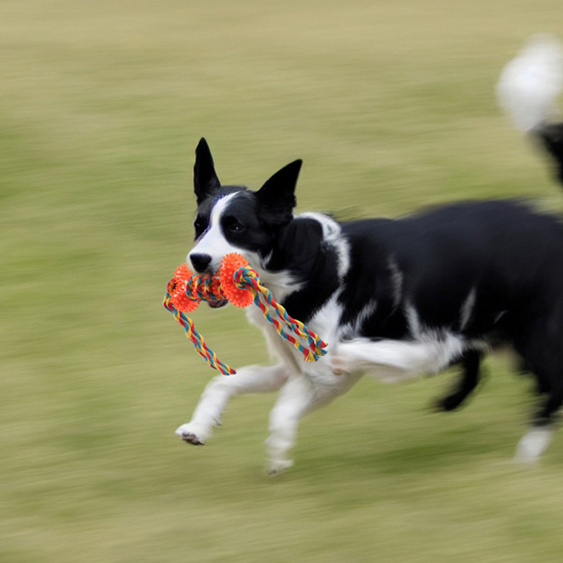 New Dog Chew Toy Rope for Amaz - огляд і ціна Pet Supplies Amazon