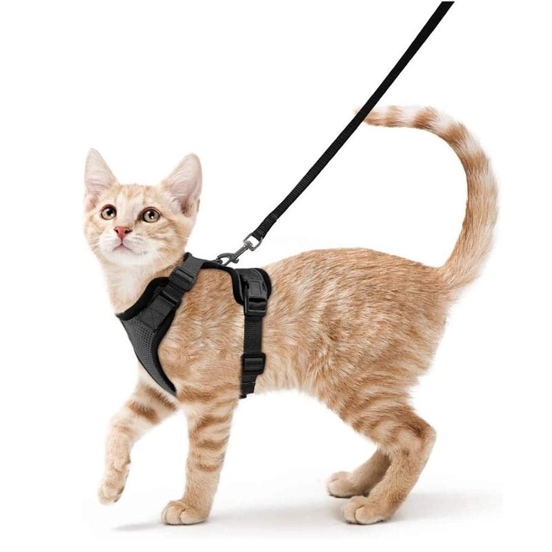 Amazon pet chest strap cat ref - огляд і ціна Pet Supplies Amazon
