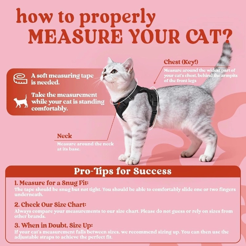 Amazon pet chest strap cat ref - огляд і ціна Pet Supplies Amazon