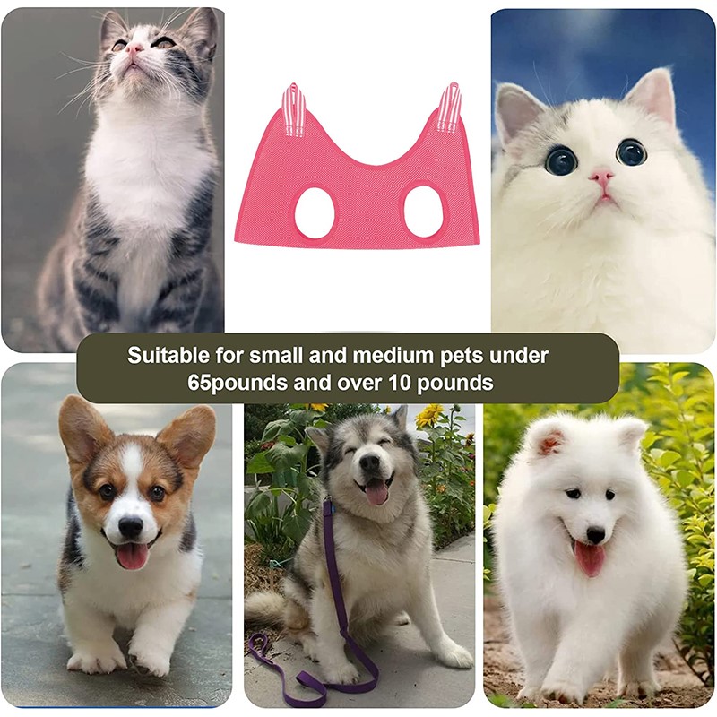 Pet Beauty Hammock Hanging Cat - огляд і ціна Pet Supplies Nail Trim