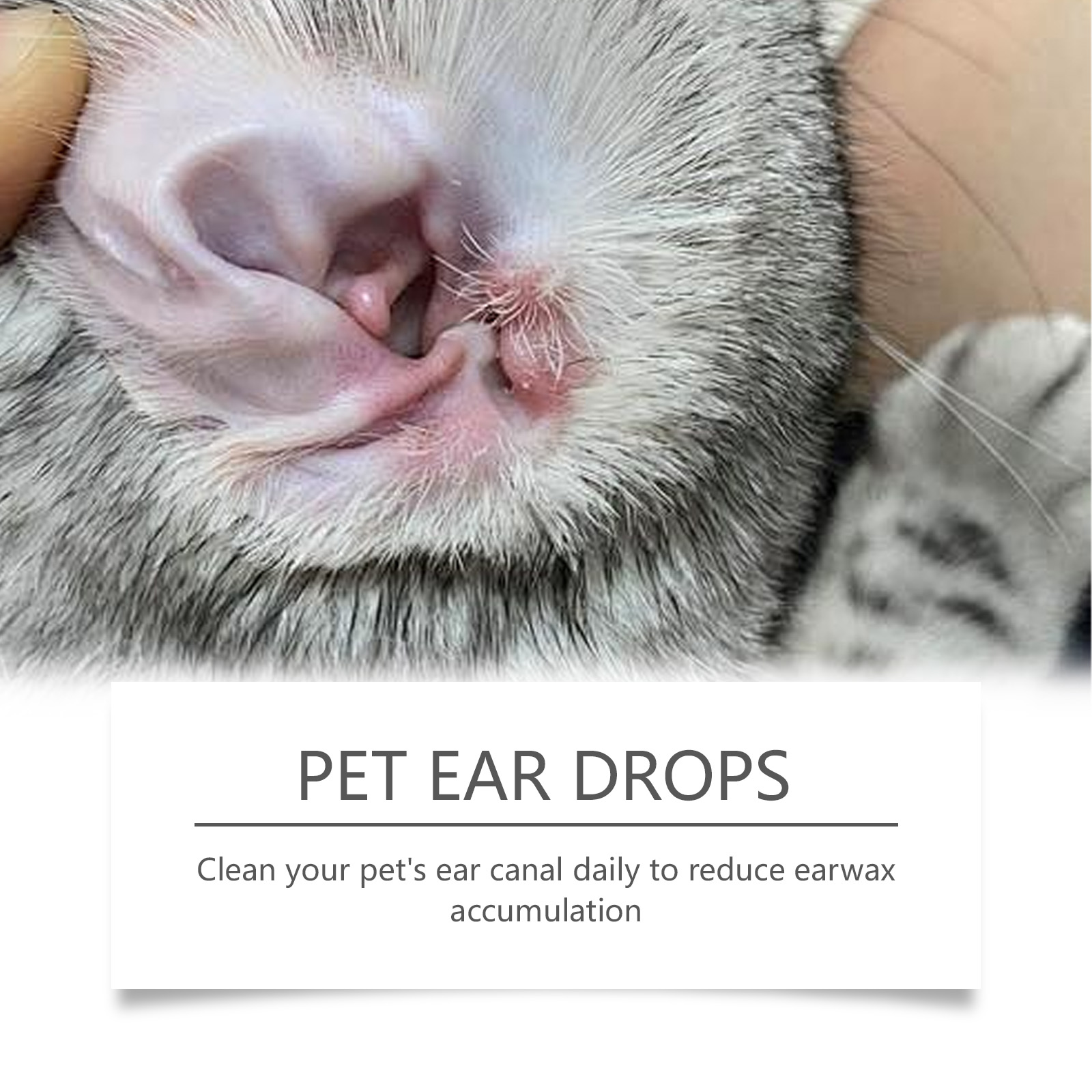 Pet Ear Cleaner Remove Ear Mit - огляд і ціна Pet Ear Cleaner