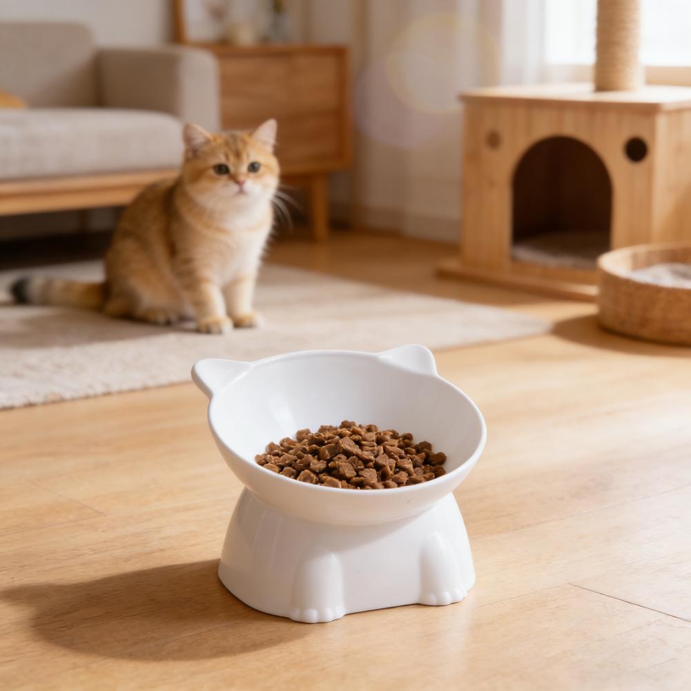 Black Cat Bowl Amazon Ceramic  - огляд і ціна Pet Supplies Amazon