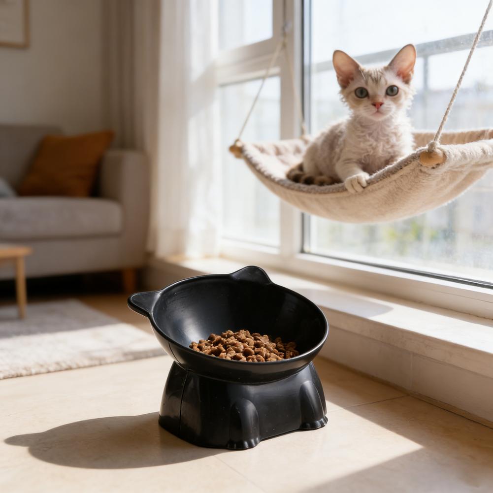 Black Cat Bowl Amazon Ceramic  - огляд і ціна Pet Supplies Amazon
