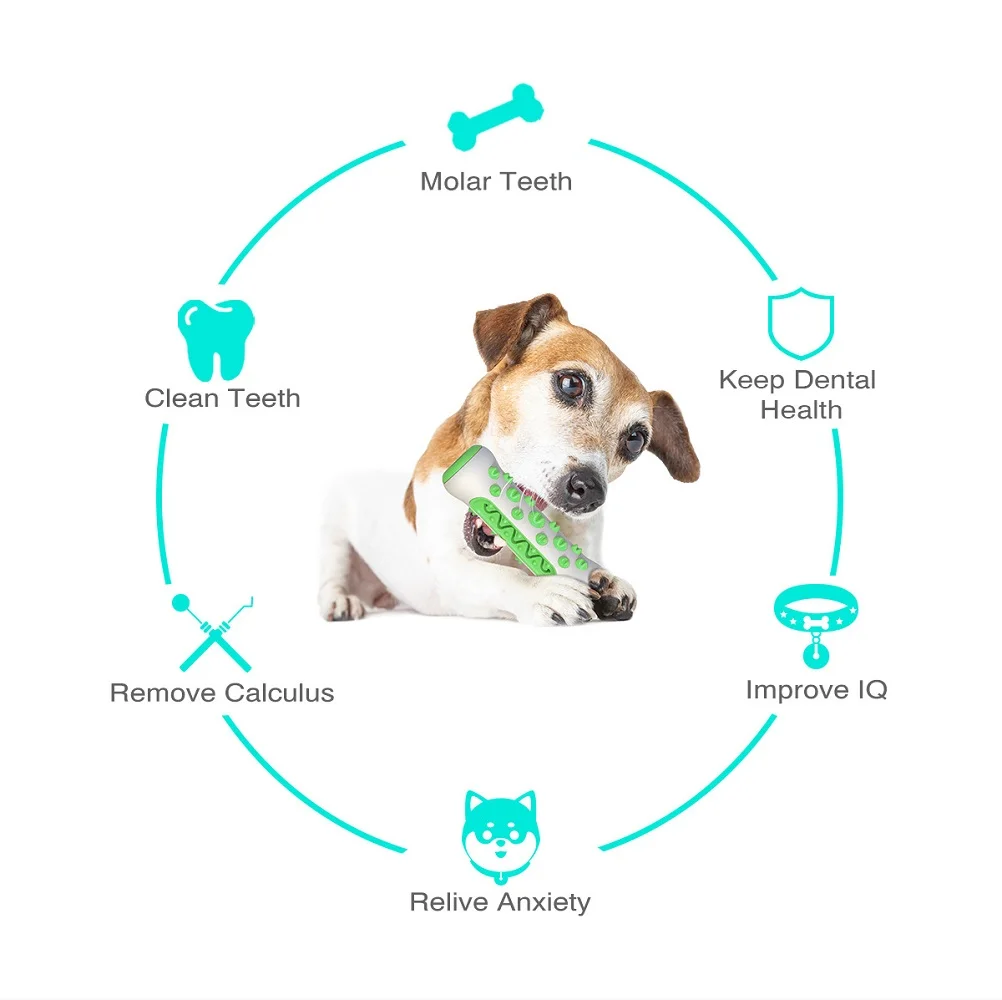 Pet Supplies Amazon Pop Dog To - огляд і ціна Pet Supplies Amazon