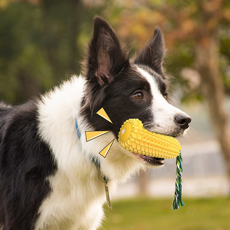 Squeaky Corn Dog Toothbrush Pe - огляд і ціна Pet Supplies Amazon