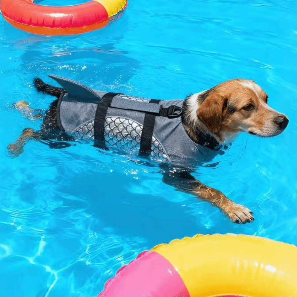 Strong Buoyancy Dog Life Jacke - огляд і ціна Dog Life Jacket