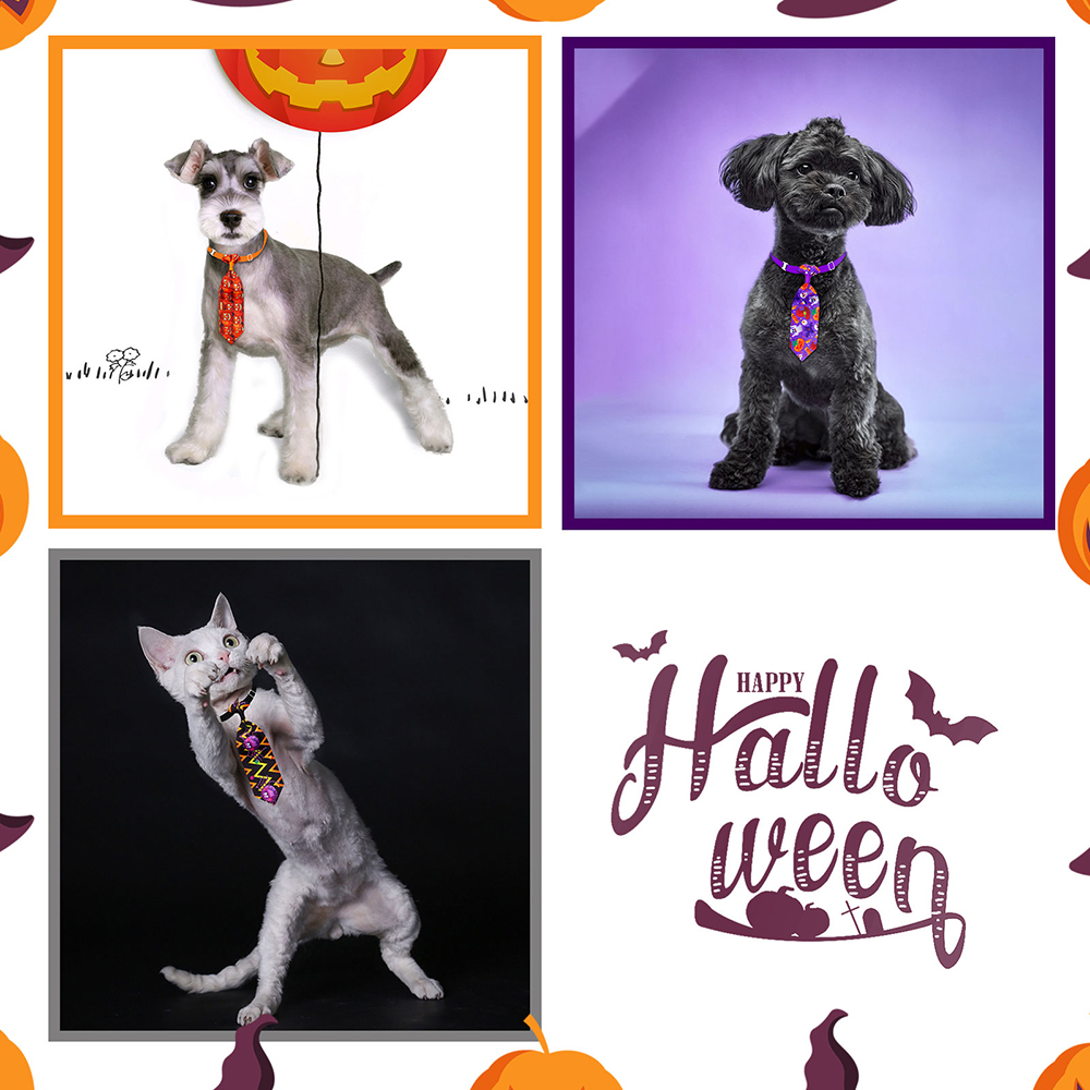 50/100pcs Halloween Dog Groomi - огляд і ціна Pet Supplies Co