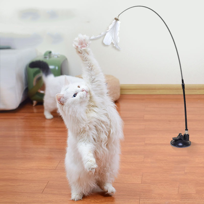 New powerful suction cat-teasi - огляд і ціна Pet Supplies Amazon