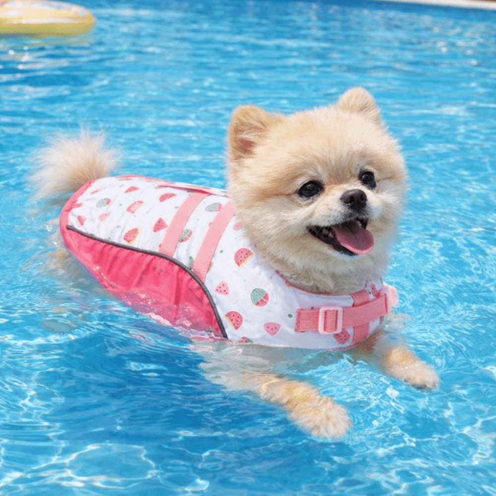 Adjustable Dog Life Jacket Hig - огляд і ціна Dog Life Jacket