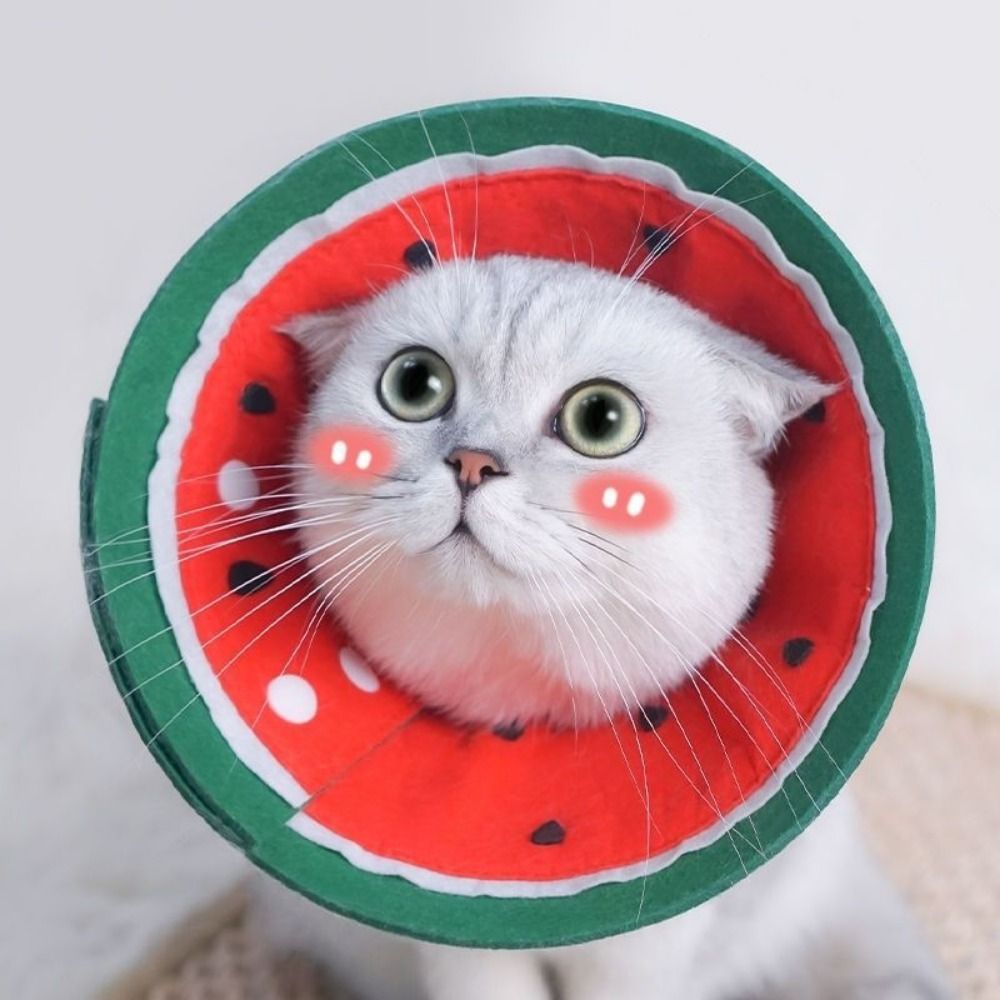 Fruit Pattern Soft Elizabethan - огляд і ціна Pet Supplies Nail Trim