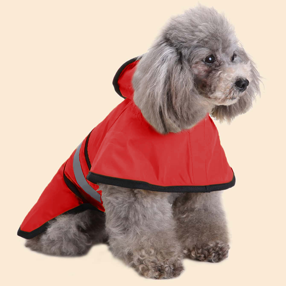 Spring Summer Waterproof Refle - огляд і ціна Pet Supplies Co