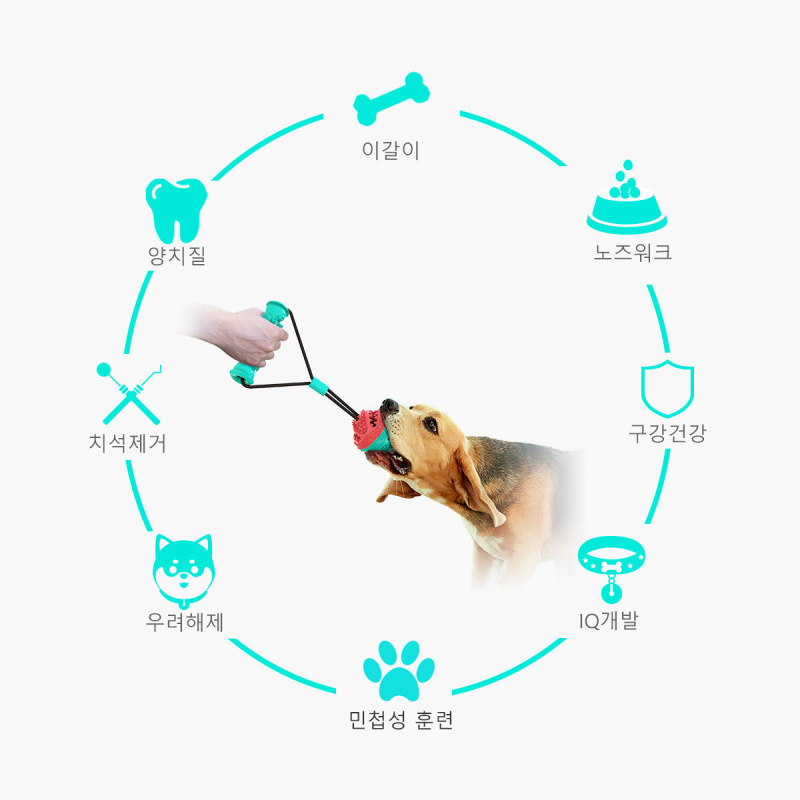 New pet supplies and toy set,  - огляд і ціна Pet Supplies Amazon